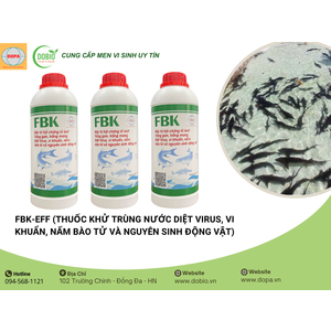 Lý Do FBK-EFF Là Sản Phẩm Không Thể Thiếu Cho Ao Nuôi Thủy Sản Của Bà Con