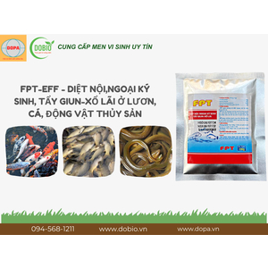 Lý Do FPT-EFF Là Giải Pháp Tuyệt Vời Cho Ao Nuôi Thủy Sản