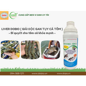 Lý Do LIVER DOBIO Là Sản Phẩm Tuyệt Vời Cho Ao Nuôi Thủy Sản