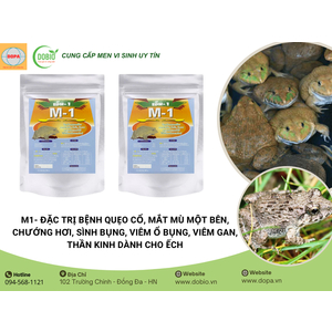 Lý Do M1 Là Sản Phẩm Hỗ Trợ Nuôi Ếch Hiệu Quả Và Tiết Kiệm Nhất