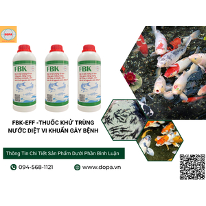 Lý Do Nên Chọn FBK-EFF: Giải Pháp Tuyệt Vời Cho Ao Nuôi Thủy Sản