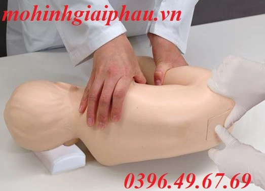 Mô hình thực hành chọc dò thắt lưng trẻ em