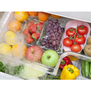 Lắp đặt kho lạnh bảo quản rau quả