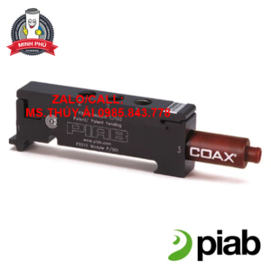 MÁY BƠM CHÂN KHÔNG PIAB - P3010