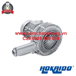 MÁY THỔI KHÍ ĐÔI 2HB 920 H47
