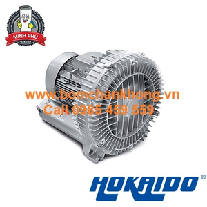 MÁY THỔI KHÍ ĐƠN 2HB 510 H36