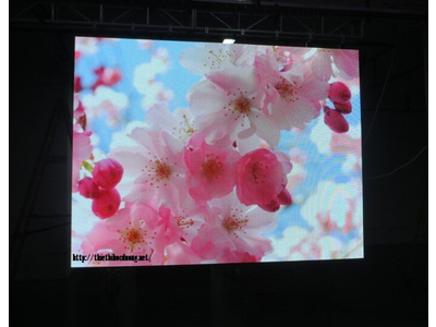 Màn hình P10 Indoor SMD Full Color 320*160mm LED Module