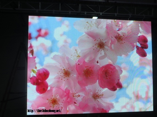 Màn hình LED P1.5 Indoor Full Color
