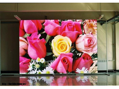 Màn hình P6 Indoor SMD Full Color 384*192mm LED Module