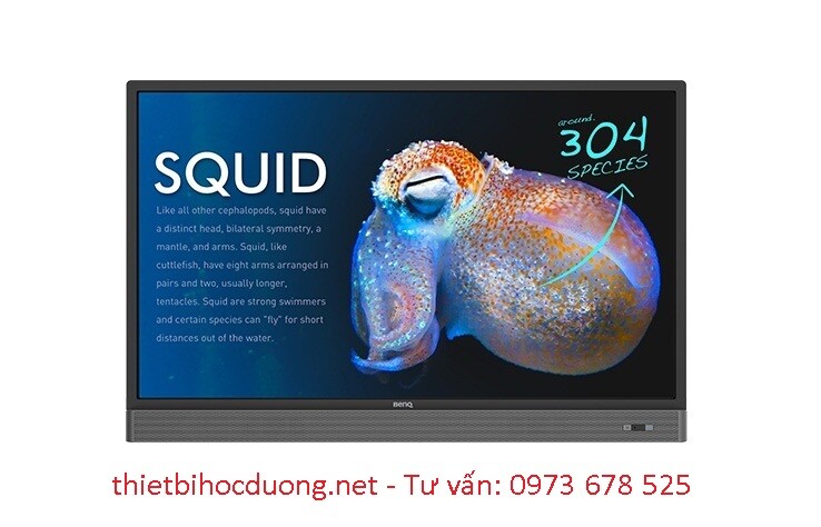 Màn hình tương tác BenQ 55 RP553K
