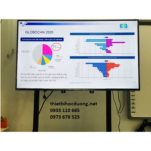 Tivi Màn Hình Cảm Ứng Thông Minh 60 Inch