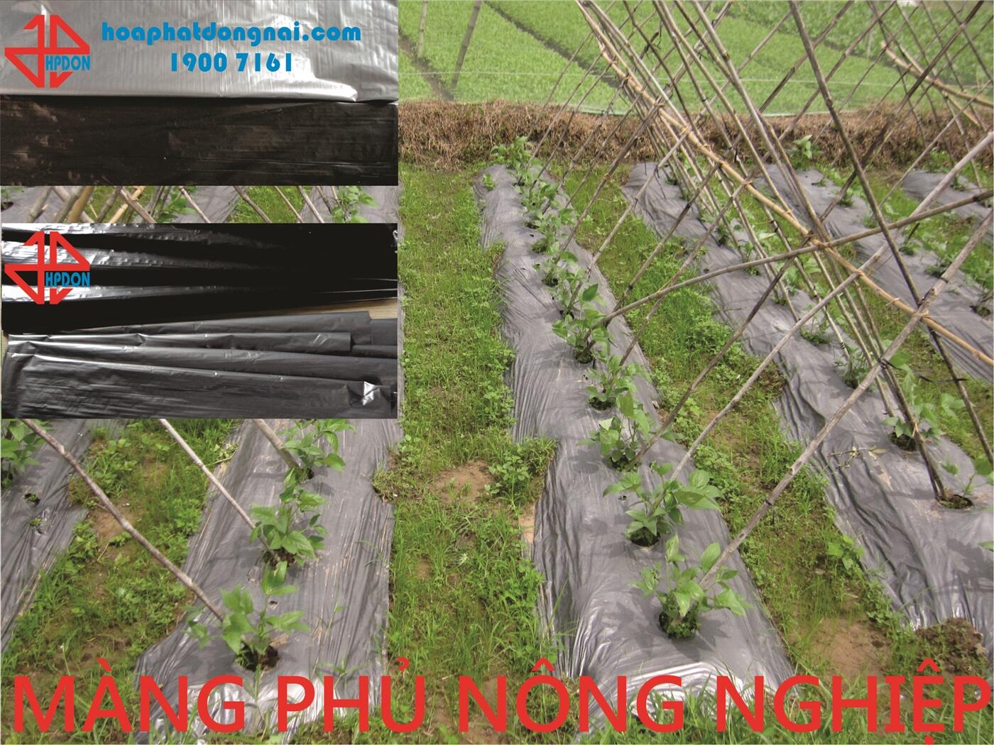 Màng phủ nông nghiệp HPDON