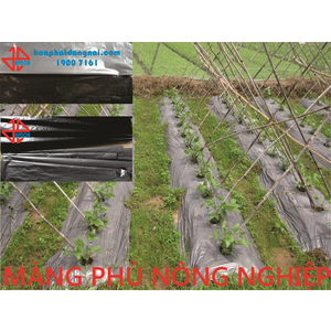 Màng phủ nông nghiệp HPDON