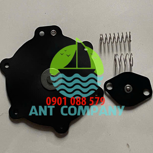 Màng van giũ bụi ASCO CQA40Q C113825