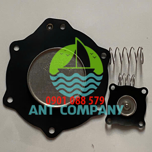 Màng van giũ bụi ASCO CQA62Q C113684