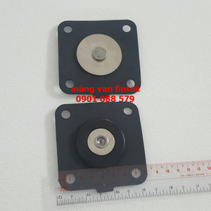 Màng van giũ bụi finetek Diaphragm seal Solenoid Pulse Valves