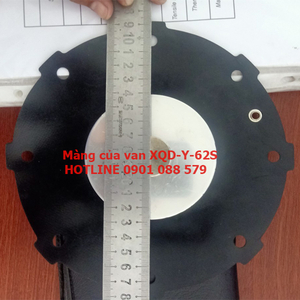 Màng van rũ bụi Y-62S Diaphragm seal Solenoid Pulse Valves
