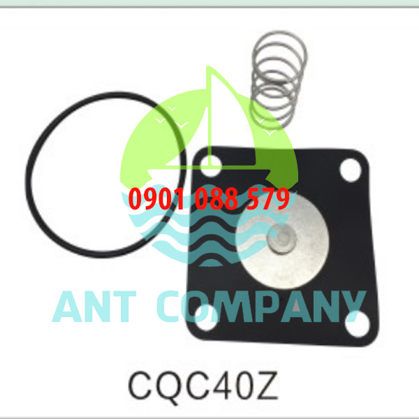 Màng van giũ bụi finetek CQC40S Diaphragm seal Solenoid Pulse Valves
