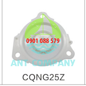 Màng van giũ bụi CQNG25Z