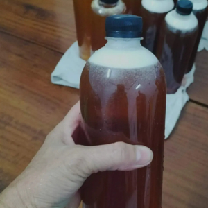 Mật Ong Cà Phê Thuần Khiết