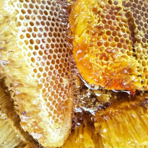 Mật Ong Rừng Nguyên Sáp