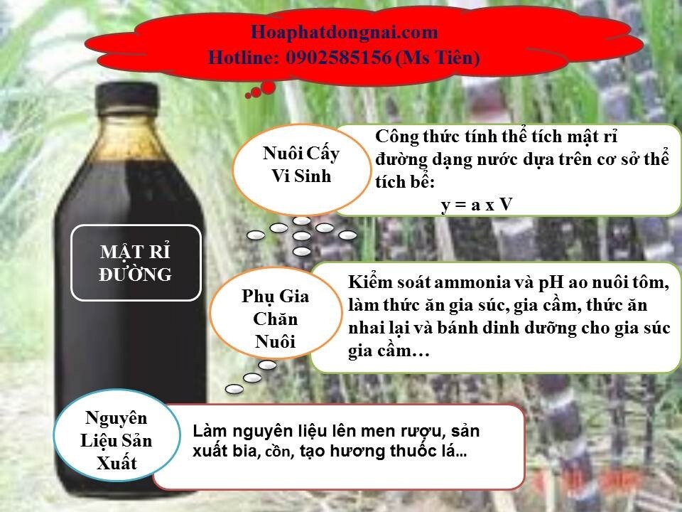 Mật Rỉ Đường