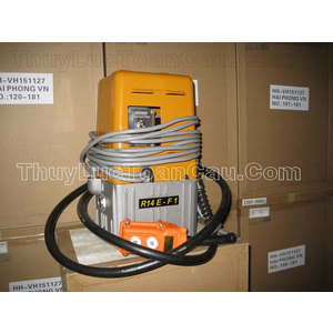 Máy bơm điện thủy lực R14E-F1