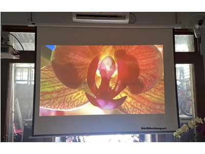 Máy Chiếu Tích Hợp Hệ Điều Hành BenQ EW600