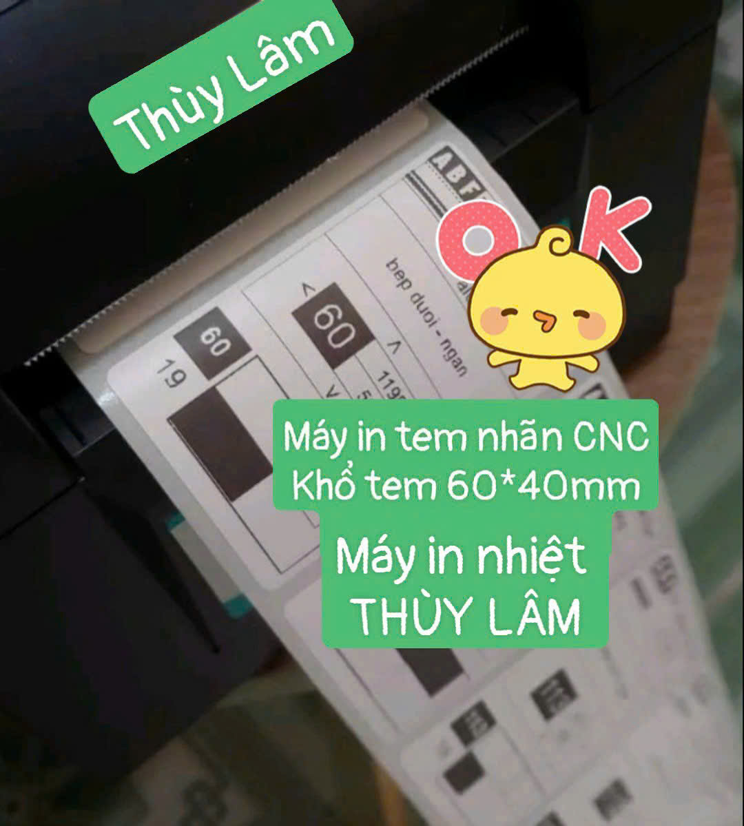 Máy in tem Nội thất, Máy in tem CNC XP 350B