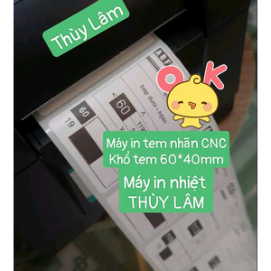 Máy in tem Nội thất, Máy in tem CNC XP 350B