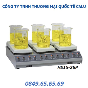 Máy khuấy từ gia nhiệt 6 vị trí HS15-26P