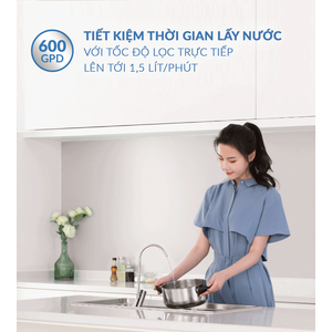 Máy Lọc Nước A. O. Smith S600