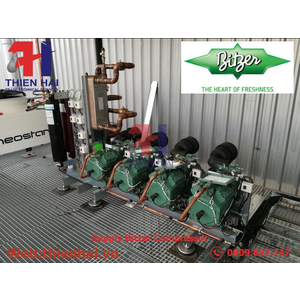 MÁY NÉN BITZER 2DES-3Y-40S