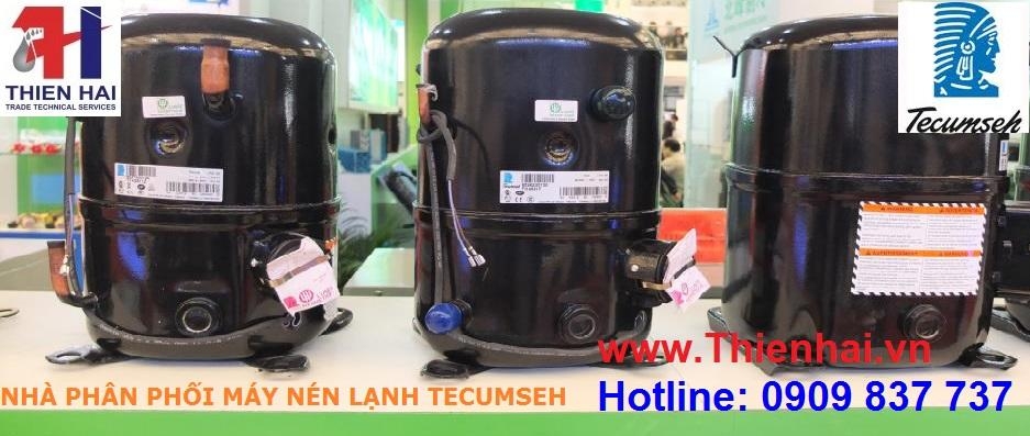 MÁY NÉN TECUMSEH TFH2480Z - Dịch vụ hết hạn sử dụng ( http://thienhai.vn › may-nen-tecumse... ) 