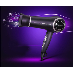 Máy sấy tóc Flyco FH6620