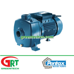 Bơm nước Pentax MBT 200 | Pentax Vietnam