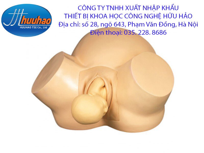 Mô hình thực tập đẻ bằng FORCEPS hoặc giác hút