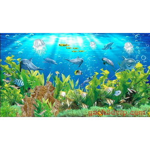 Mẫu gạch MCH47