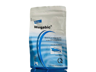 MEGABIC