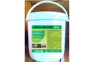 MEN RẮC NỀN CHUỒNG