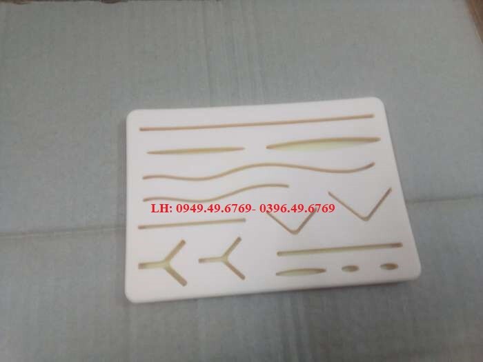 Mô hình thực hành khâu da