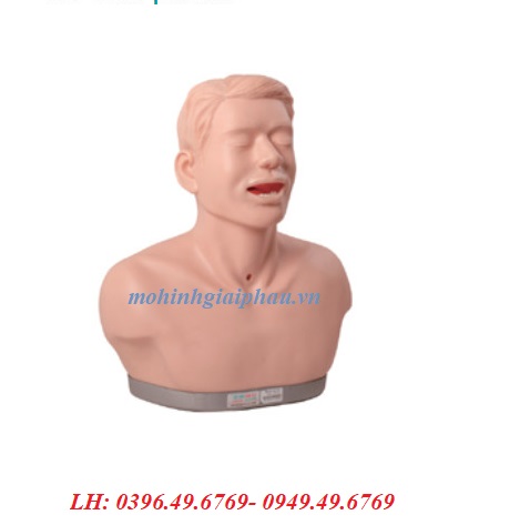 Mô hình khám thanh quản