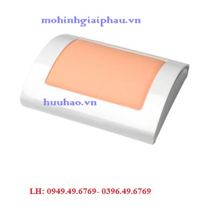 Mô hình thực hành khâu da Model 1005134