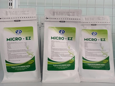 MICRO-EZ