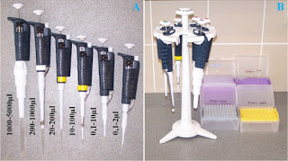 micropipet - giá đỡ micropipet