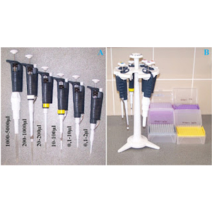 micropipet - giá đỡ micropipet