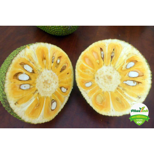 Mít Nghệ tiền giang Loại 1