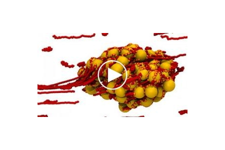 MIT phát triển vật liệu tự phục hồi dựa trên hiện tượng đông máu