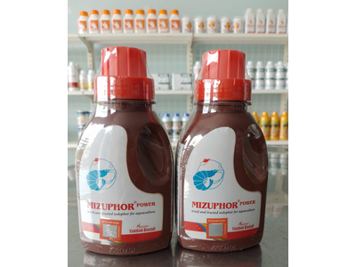 MIZUPHOR