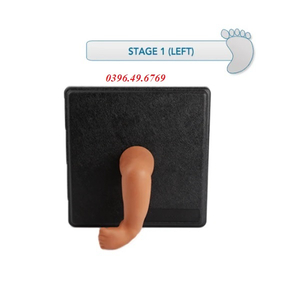 Mô hình bàn chân khoè